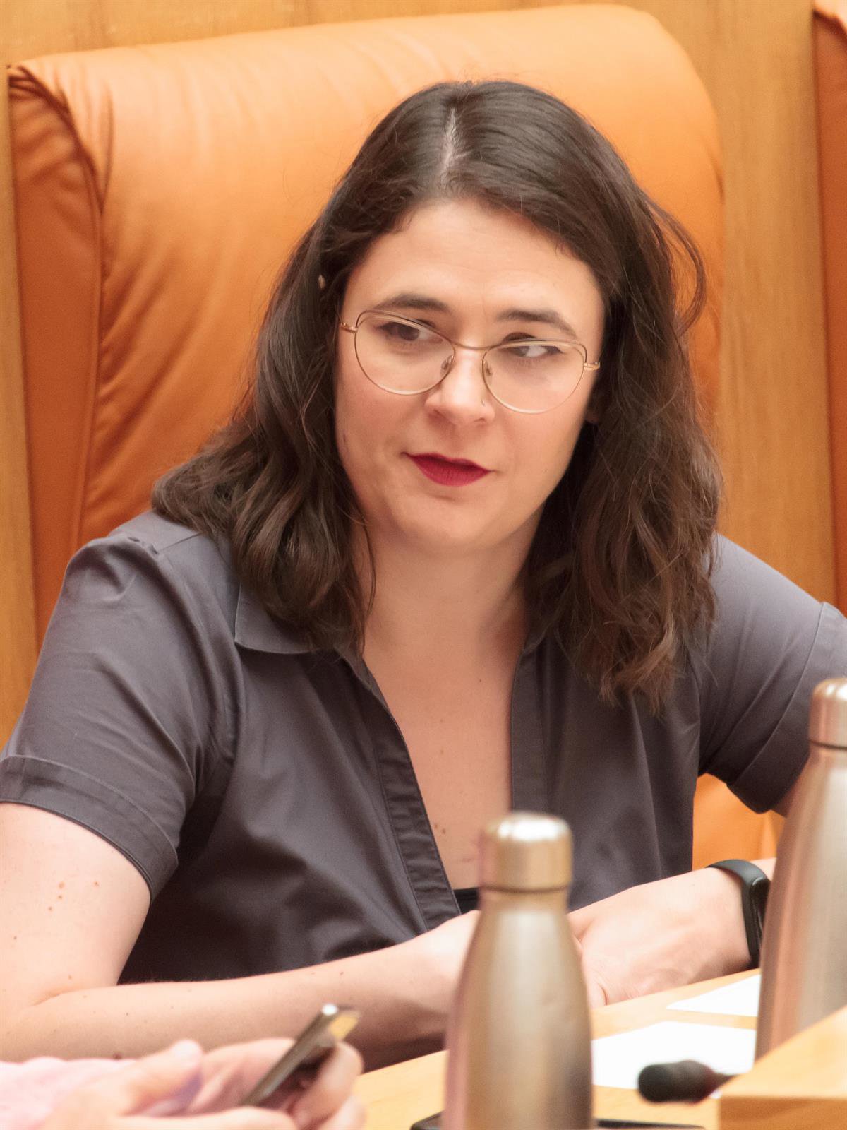 El Tribunal Constitucional resuelve que la exconsejera de Igualdad no podía ser expulsada del Grupo Mixto