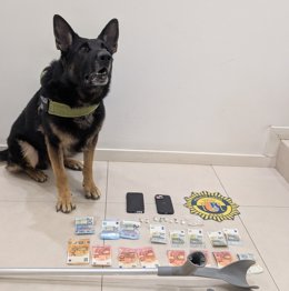 Detenen amb l'ajuda d'un gos policia a un jove acusat de tràfic de drogues a Xàbia