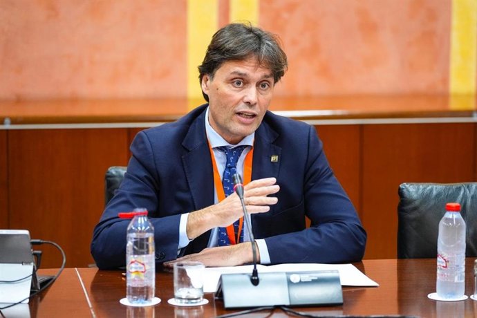 Francisco Oliva, presidente de la AUPA, en el Parlamento de Andalucía.
