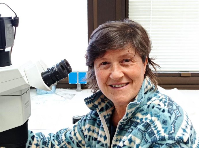 Archivo - La RAGC y la Diputación de Lugo organizan conferencias sobre problemas sanitarios en especies forestales