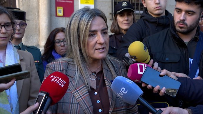 La delegada del Gobierno en C-LM, Milagros Tolón.