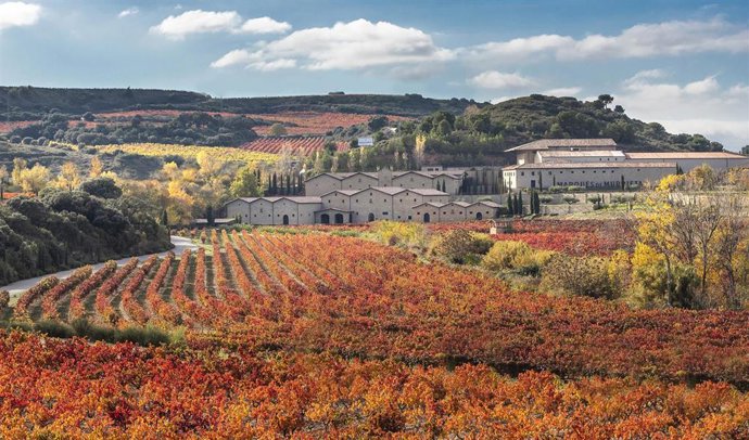 Archivo - Bodega Marqués de Murrieta