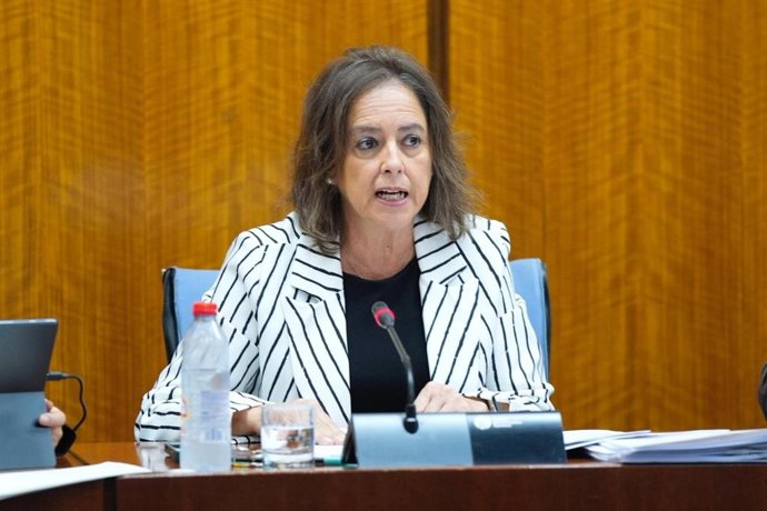 La consejera de Sostenibilidad, Catalina García, en la comisión parlamentaria del 18 de noviembre de 2025.