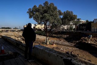 Archivo - El eucalipto que ha resistido a la Dana en el barranco del Poyo, tras ser limpiado de los restos de la riada, a 13 de diciembre de 2024, en Paiporta, Valencia, Comunidad Valenciana (España). La zona cero de la DANA se enfrenta a la campaña de Na