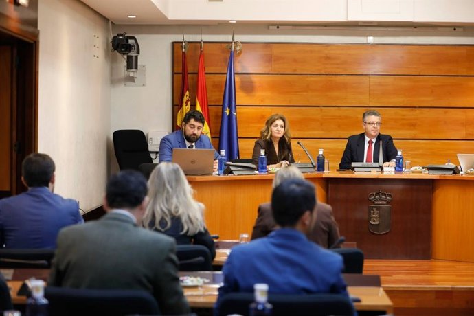La directora del ente público regional de radiotelevisión de Castilla-La Mancha, Carmen Amores, en la Comisión celebrada en las Cortes.