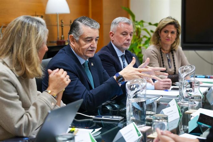El consejero de Sanidad, Presidencia y Emergencias de la Junta, Antonio Sanz, en su reunión con los colegios oficiales de Psicología de Andalucía Oriental y Occidental.