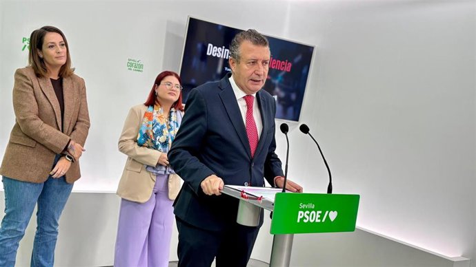 Campaña del PSOE con motivo del '25N' 2025