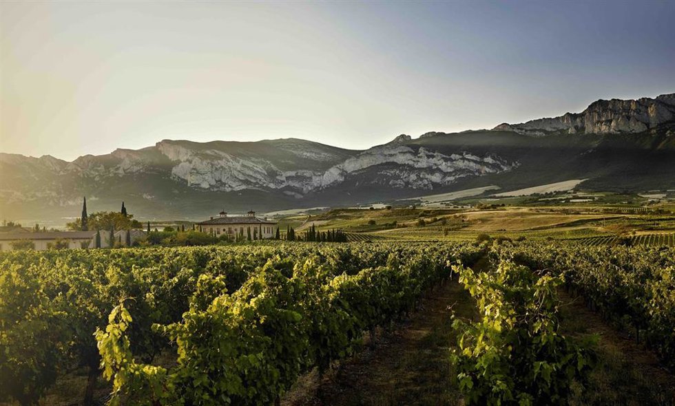 Viñedos Asociacion Bodegas por la Calidad de Rioja -Torre de Oña