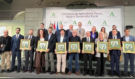 Es Andalucía - Sevilla