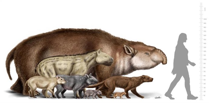 Mamíferos del Oligoceno