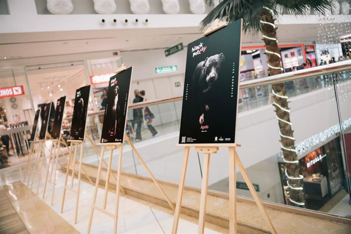 El centro comercial Miramar, en Fuengirola (Málaga), reitera su compromiso con el bienestar animal en la II edición del 'Black Pet Day'.