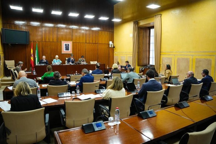 Comisión de Cultura y Deporte del 18 de noviembre de 2025.