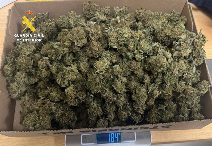 Marihuana incautada en un vehículo en Las Merindades (Burgos).