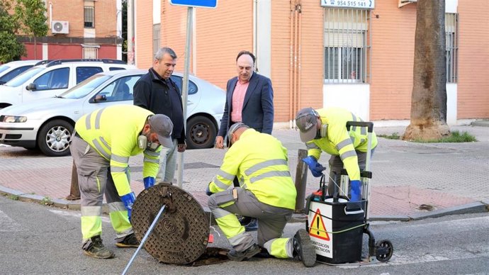 Labores de refuerzo del plan municipal de desratización.