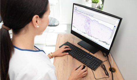 Comunicados Internacional