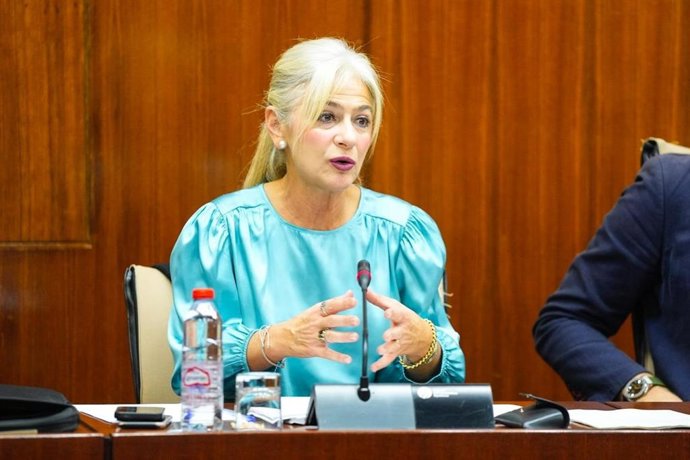 La consejera de Cultura y Deporte, Patricia del Pozo, en comisión parlamentaria este martes