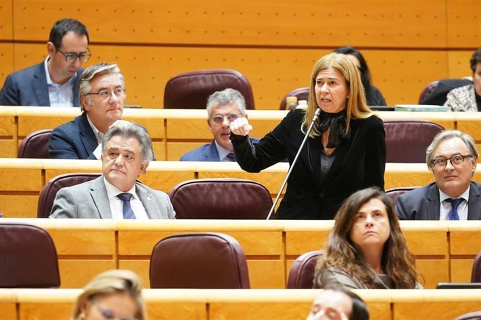 La senadora del PP Teresa Ruiz-Sillero en el pleno del Senado.