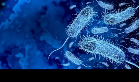 notibrasil sociedade