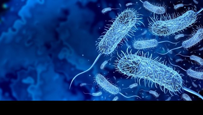 notibrasil sociedade