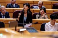 Redondo comparecerá mañana en el Congreso para explicar el último fallo de las pulseras para maltratadores