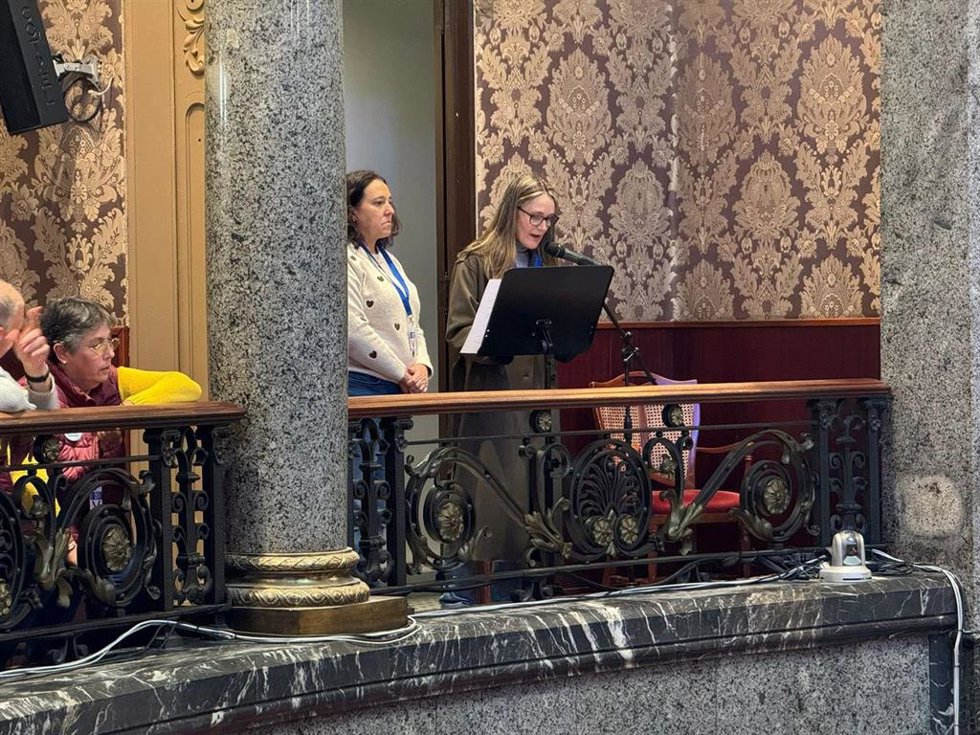 Asociaciones de víctimas de la dana intervienen en el pleno del Ayuntamiento de Valncia