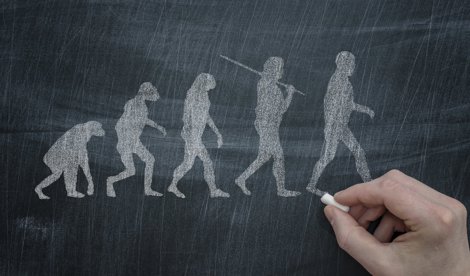 notibrasil sociedade