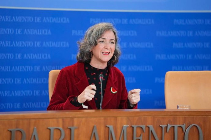 La parlamentaria del Grupo Mixto-Adelante Andalucía, Begoña Iza, en rueda de prensa en el Parlamento.