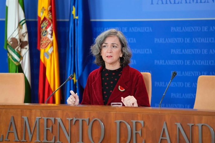 La diputada del Grupo Mixto-Adelante Andalucía, Begoña Iza, en rueda de prensa en el Parlamento.