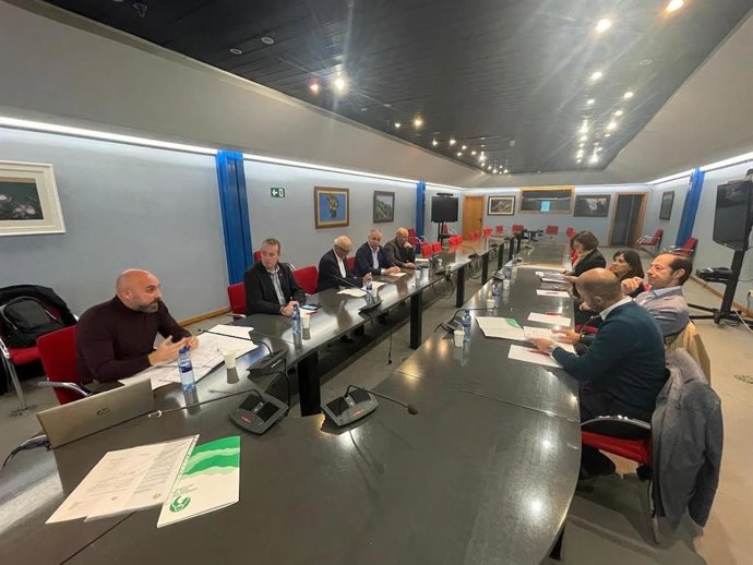 Patronato de la Fundación Oso