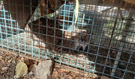 Es Andalucía - Córdoba