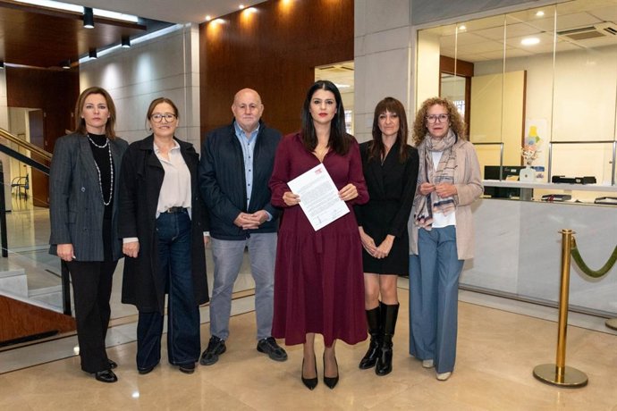 El PSOE registra una petición de Pleno extraordinario en la Diputación de Almería