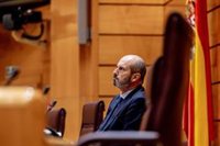 El PP activa en el Senado el procedimiento para llevar al Congreso ante el TC por el "bloqueo" a sus leyes