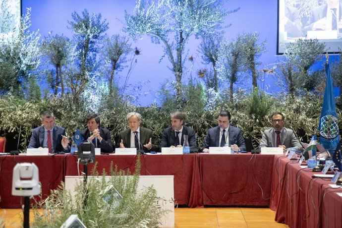 El director del COI, Jaime Lillo (tercero por la dcha.), junto al presidente de la Diputación de Córdoba, Salvador Fuentes (cuarto), en la inauguración de la 122ª sesión plenaria del Consejo Oleícola Internacional.