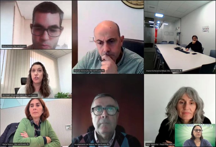 Imagen de la reunión telemática de la Federación Andaluza de Municipios y Provincias (FAMP) con el Grupo de Trabajo de Silver Economy & Emprendimiento.