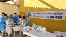 Participantes en el curso sobre la investigación de crímenes contra la fauna.