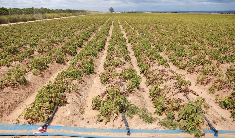 Es Andalucía - Sevilla
