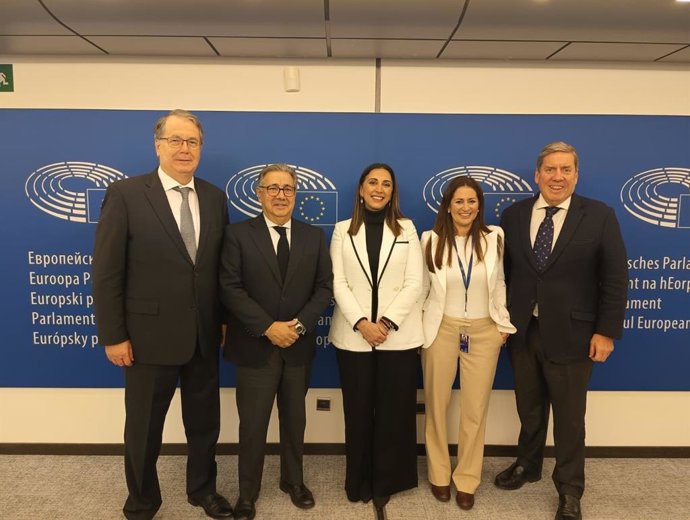 La consejera Sara Rubira junto a los europarlamentarios, tras la reunión mantenida hoy en Bruselas