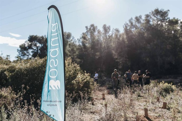 Bosquia se consolida como referente en soluciones basadas en la naturaleza para la compensación de CO2