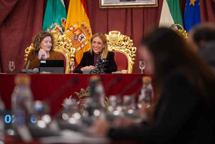 Almudena Martínez, presidenta de Diputación, en el Pleno de noviembre.