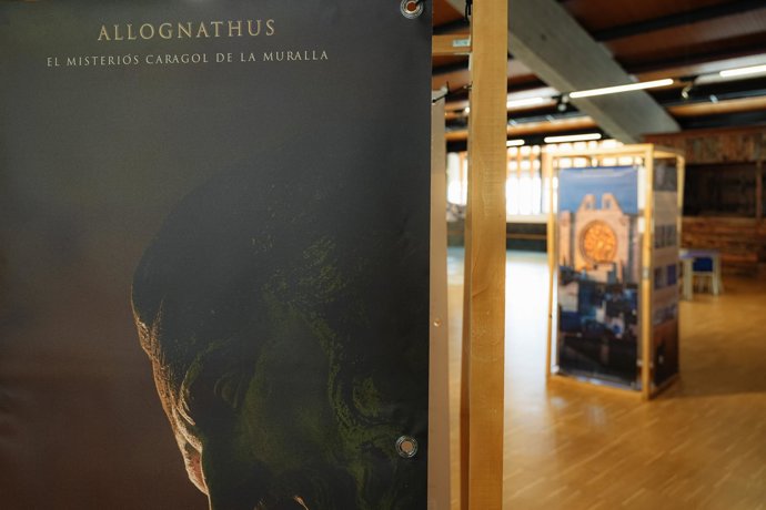 La exposición 'Allognathus: El misterioso caracol de la Muralla'