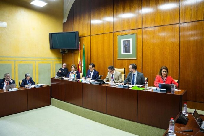 El consejero de Justicia, en la Comisión parlamentaria de este miércoles.