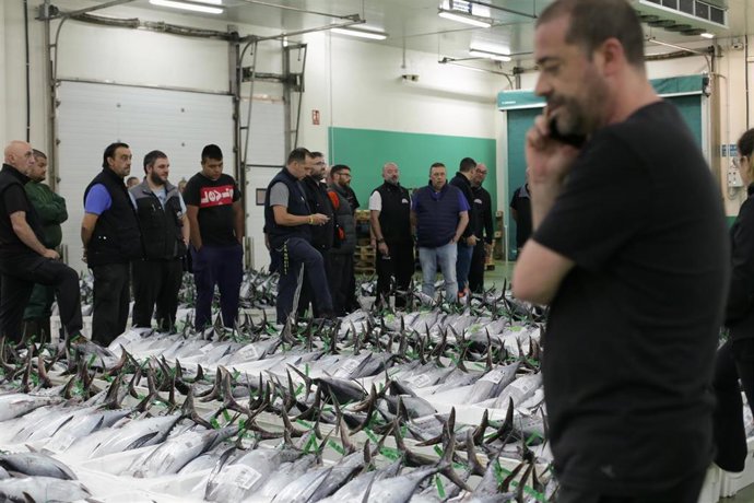 Archivo - Mayoristas observan el bonito colocado en la lonja tras su recogida del mar, a 12 de agosto de 2022, en la lonja de Burela, Lugo, Galicia (España). 