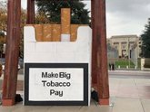 Foto: Nofumadores pide a España que apoye las medidas de la COP11 para eliminar el tabaco