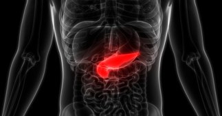 notibrasil sociedade