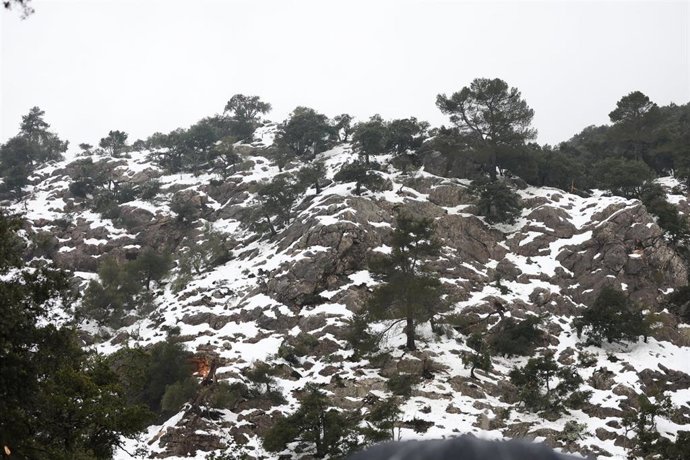 Archivo - Nieve en el campo, a 2 de marzo de 2023, en Lluc, Mallorca, Baleares (España). 