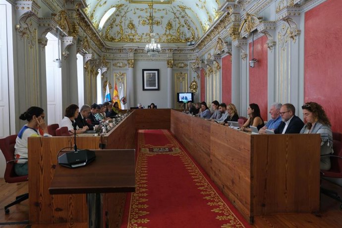 Archivo - El Pleno del Ayuntamiento de Las Palmas de Gran Canaria