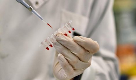 notibrasil sociedade