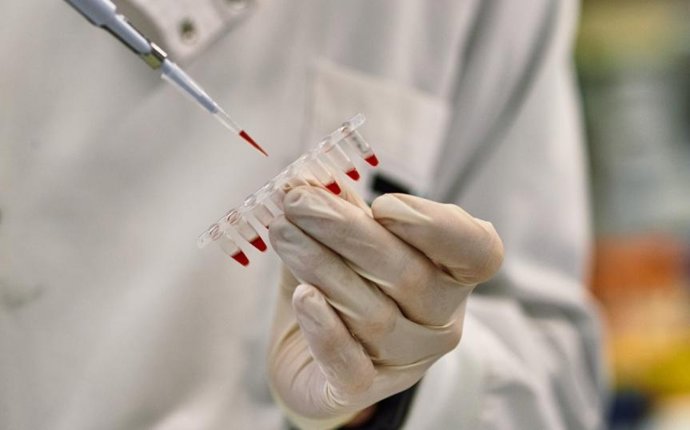 Un investigador manipula material de laboratorio