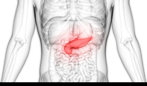 notibrasil sociedade