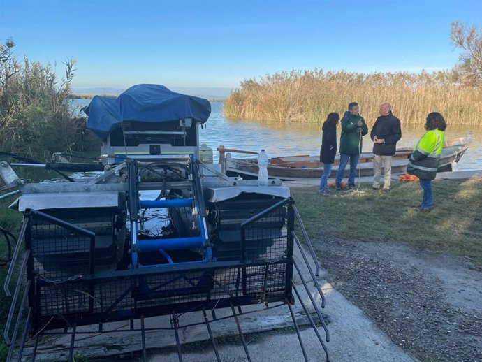 El Ayuntamiento de València retira 140 m3 de residuos de l'Albufera